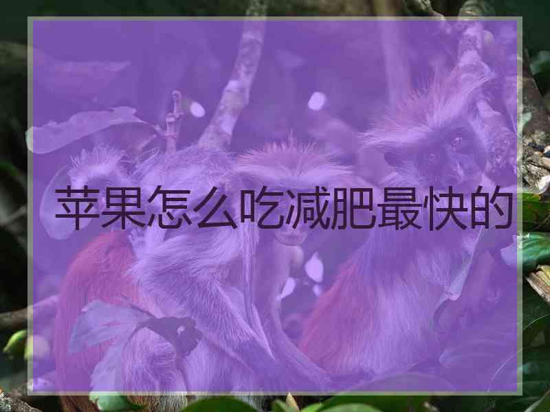 苹果怎么吃减肥最快的