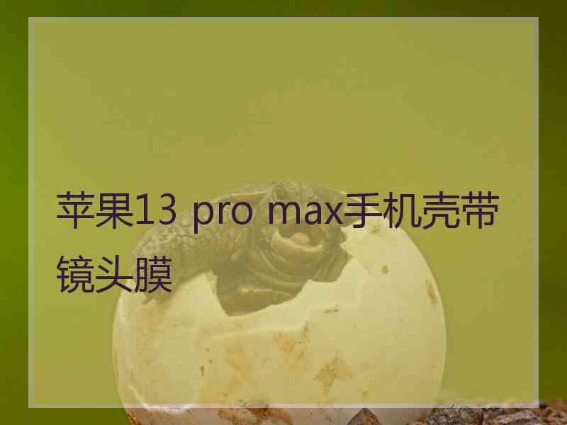 苹果13 pro max手机壳带镜头膜