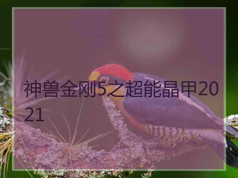 神兽金刚5之超能晶甲2021