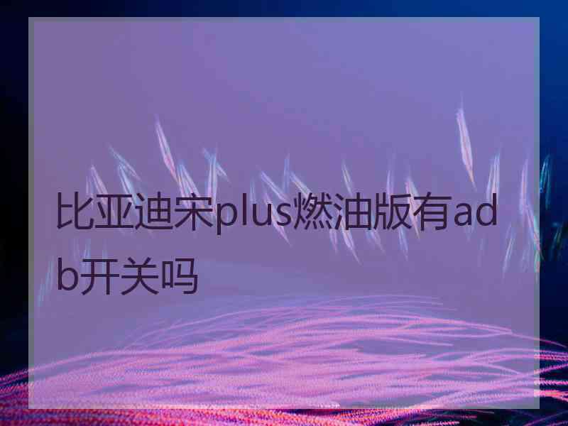 比亚迪宋plus燃油版有adb开关吗