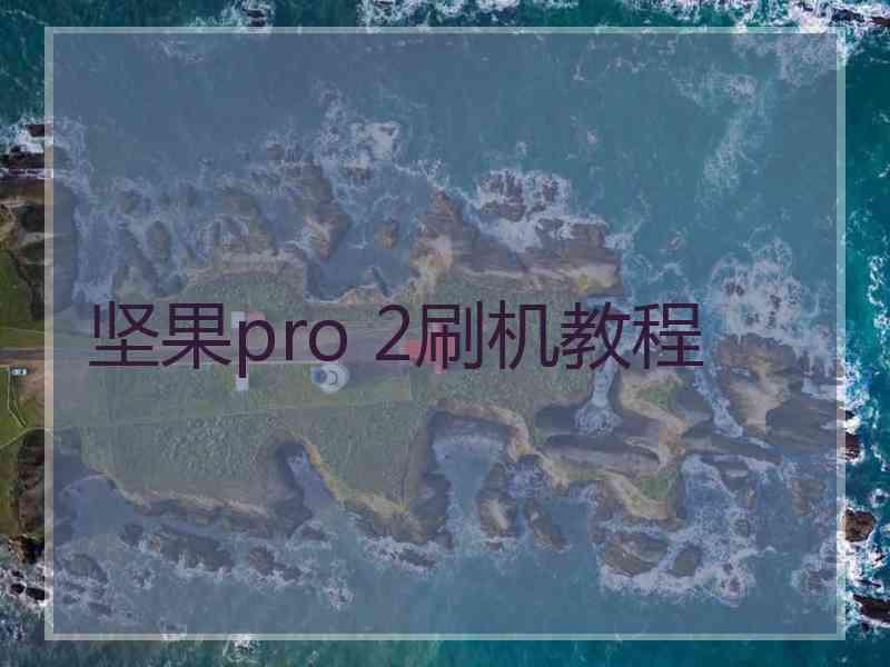 坚果pro 2刷机教程