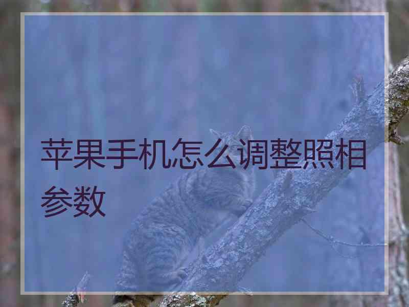 苹果手机怎么调整照相参数