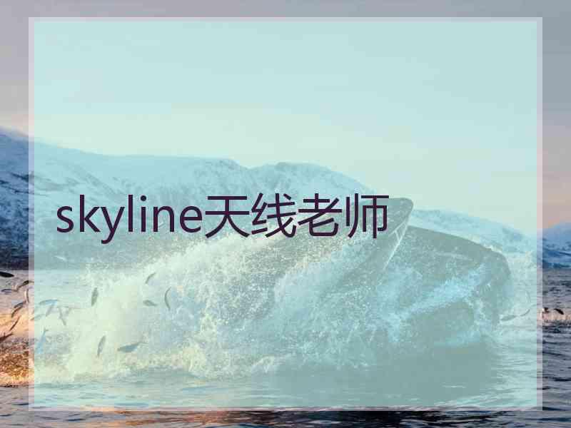 skyline天线老师