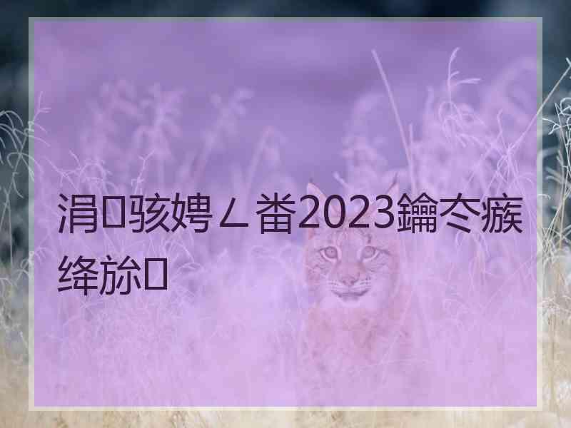 涓骇娉ㄥ畨2023鑰冭瘯绛旀