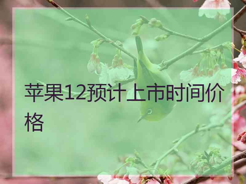 苹果12预计上市时间价格