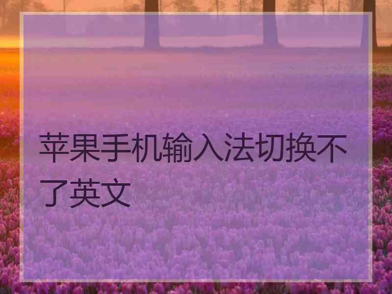 苹果手机输入法切换不了英文