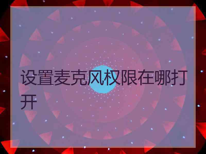 设置麦克风权限在哪打开