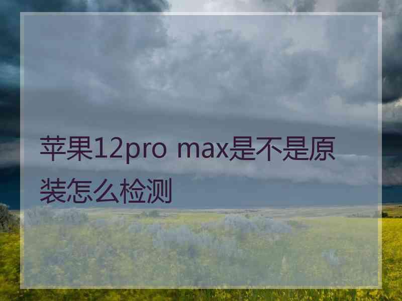 苹果12pro max是不是原装怎么检测