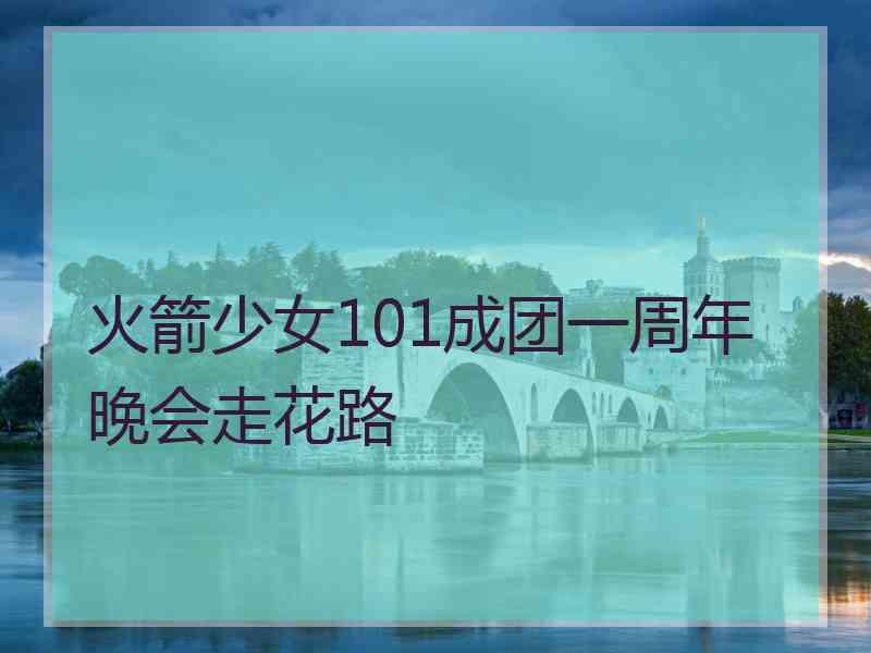 火箭少女101成团一周年晚会走花路