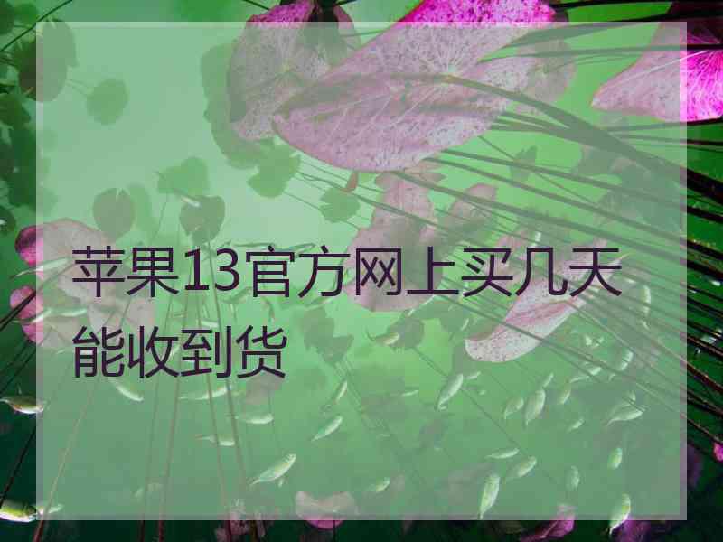 苹果13官方网上买几天能收到货