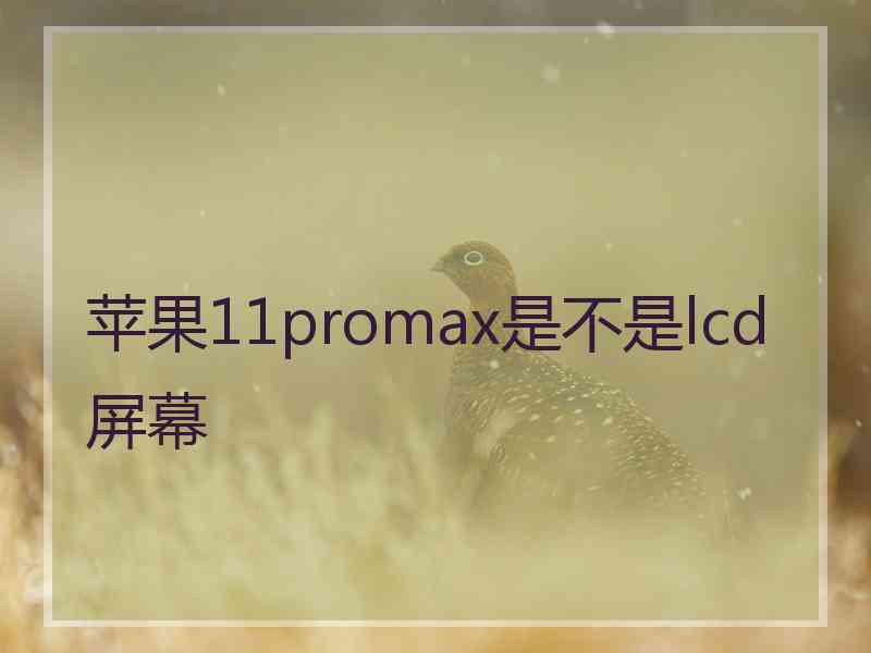 苹果11promax是不是lcd屏幕