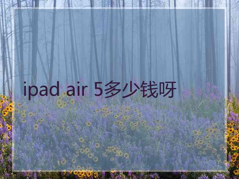 ipad air 5多少钱呀