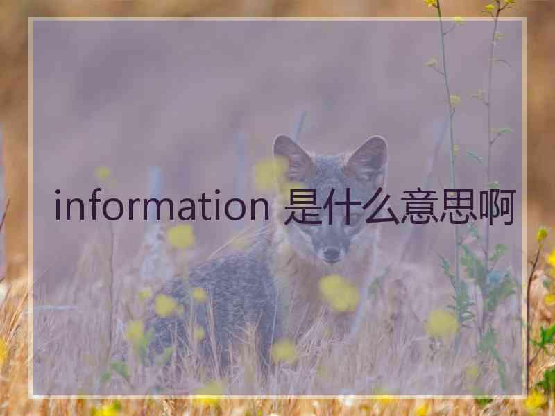 information 是什么意思啊