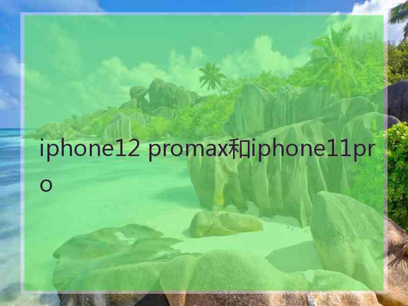 iphone12 promax和iphone11pro