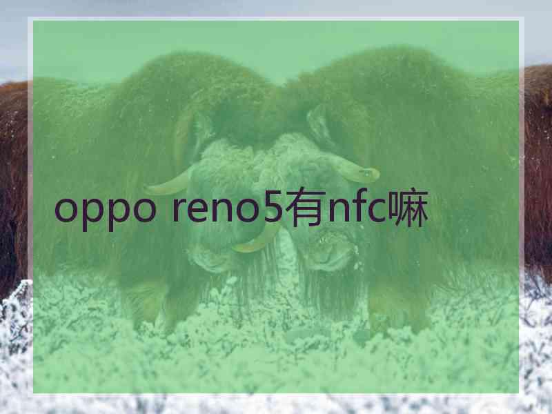 oppo reno5有nfc嘛