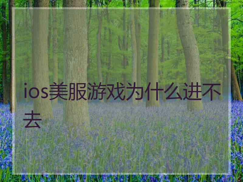 ios美服游戏为什么进不去