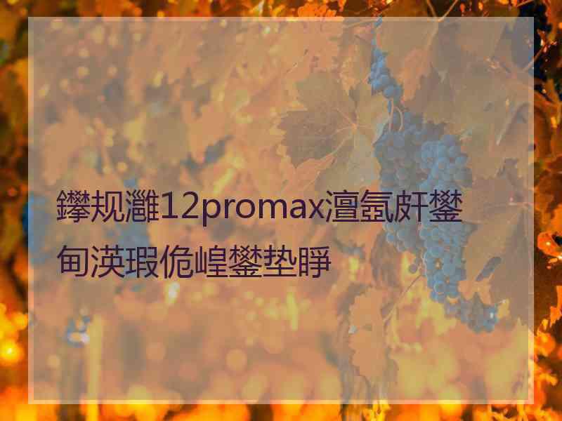 鑻规灉12promax澶氬皯鐢甸渶瑕佹崲鐢垫睜