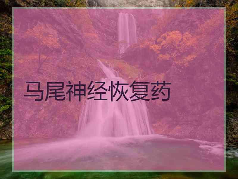 马尾神经恢复药