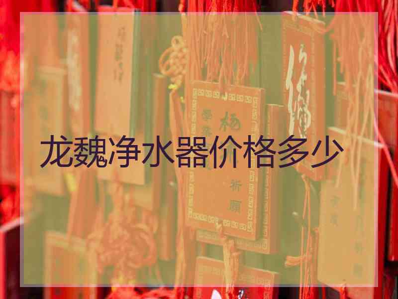 龙魏净水器价格多少