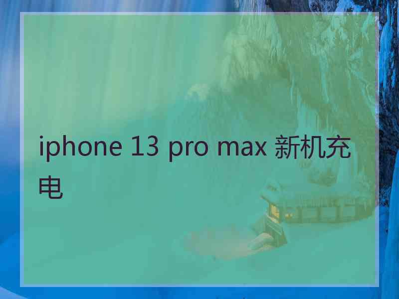 iphone 13 pro max 新机充电