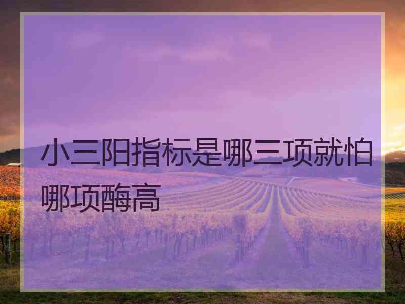 小三阳指标是哪三项就怕哪项酶高