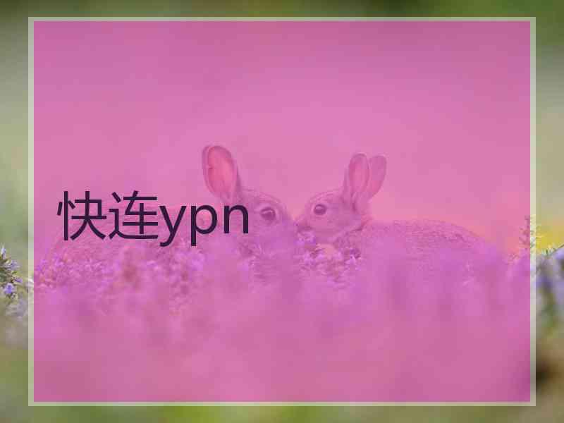 快连ypn