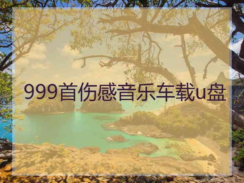 999首伤感音乐车载u盘