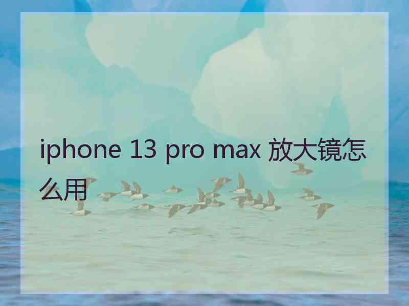 iphone 13 pro max 放大镜怎么用