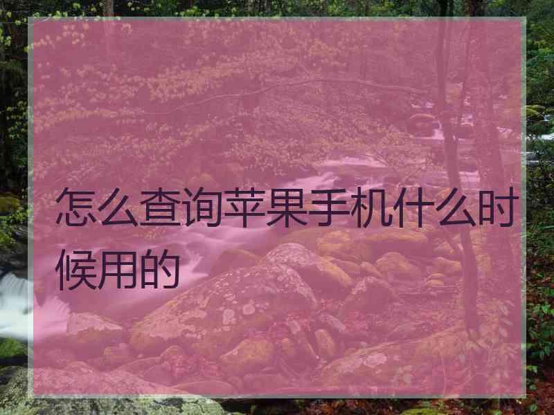 怎么查询苹果手机什么时候用的