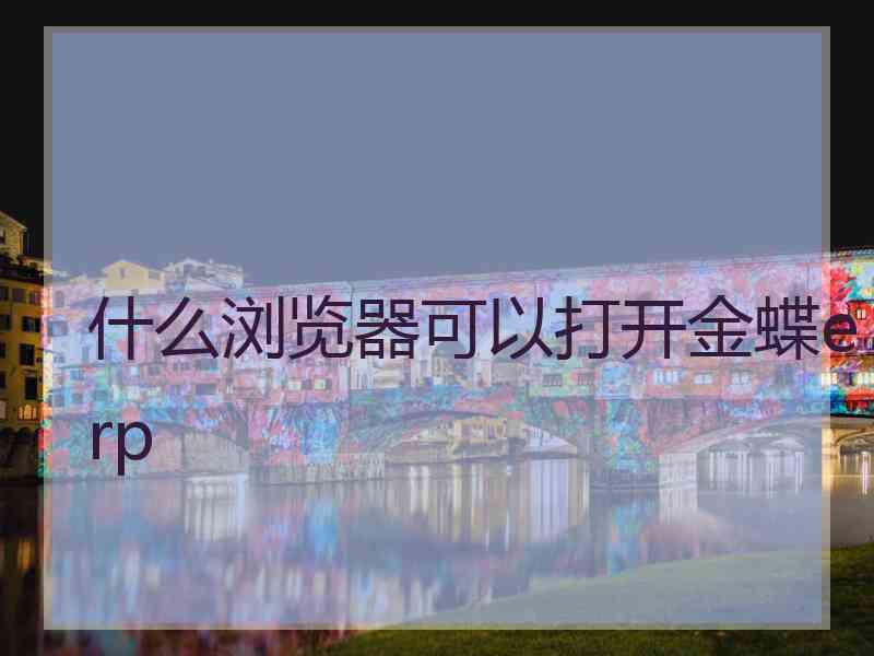 什么浏览器可以打开金蝶erp