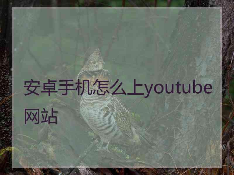 安卓手机怎么上youtube网站