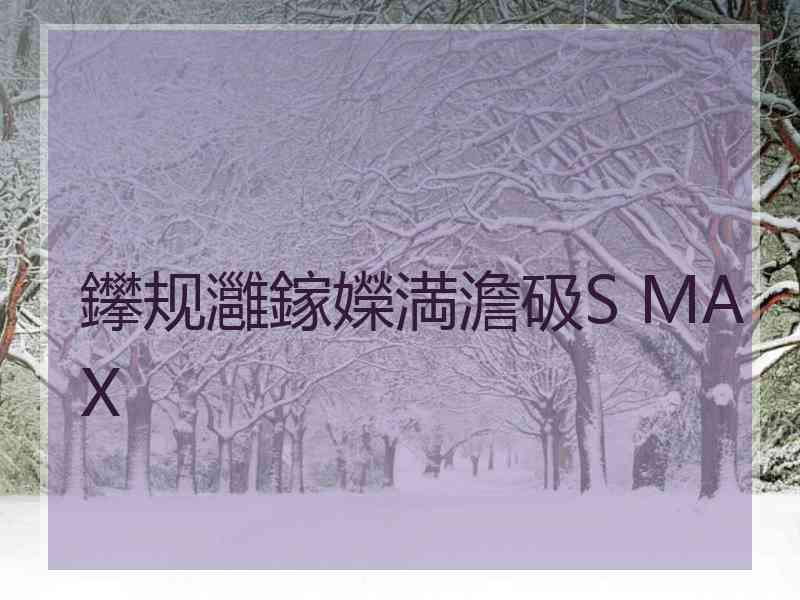 鑻规灉鎵嬫満澹砐S MAX