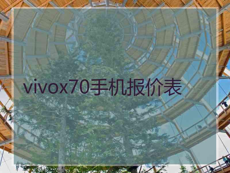 vivox70手机报价表