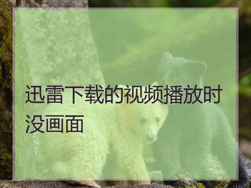 迅雷下载的视频播放时没画面