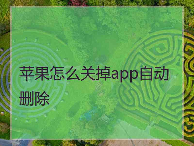 苹果怎么关掉app自动删除