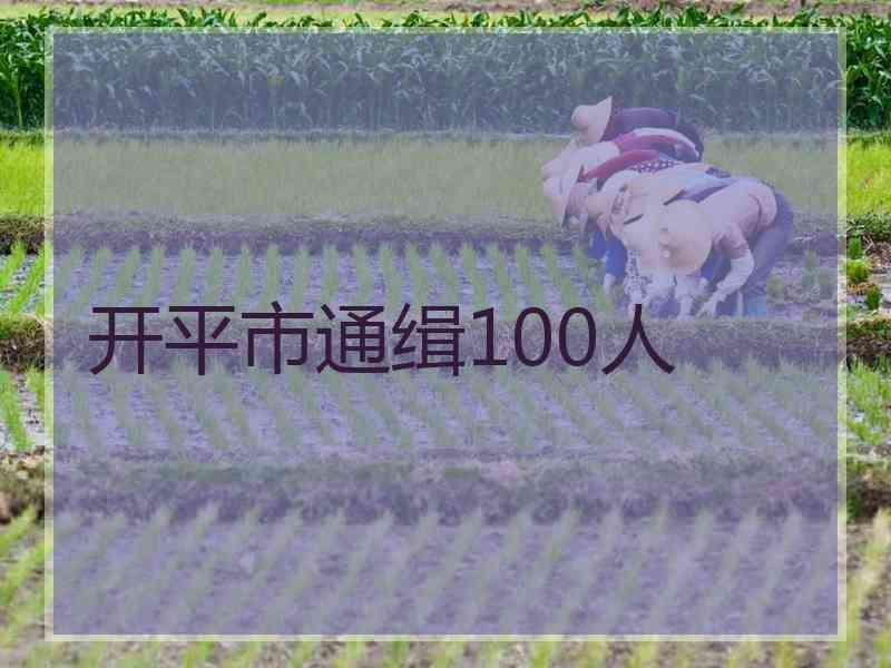 开平市通缉100人