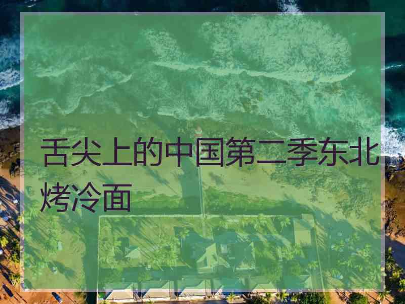 舌尖上的中国第二季东北烤冷面