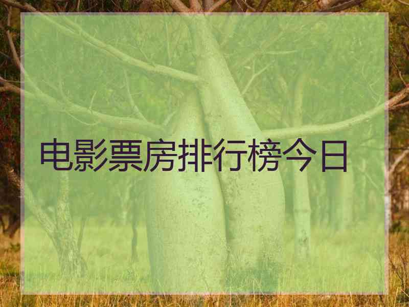 电影票房排行榜今日