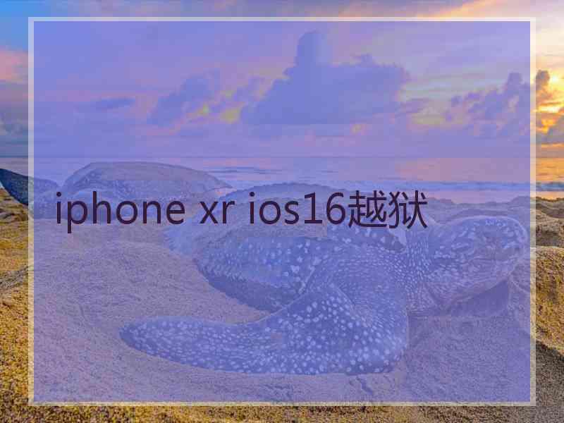 iphone xr ios16越狱