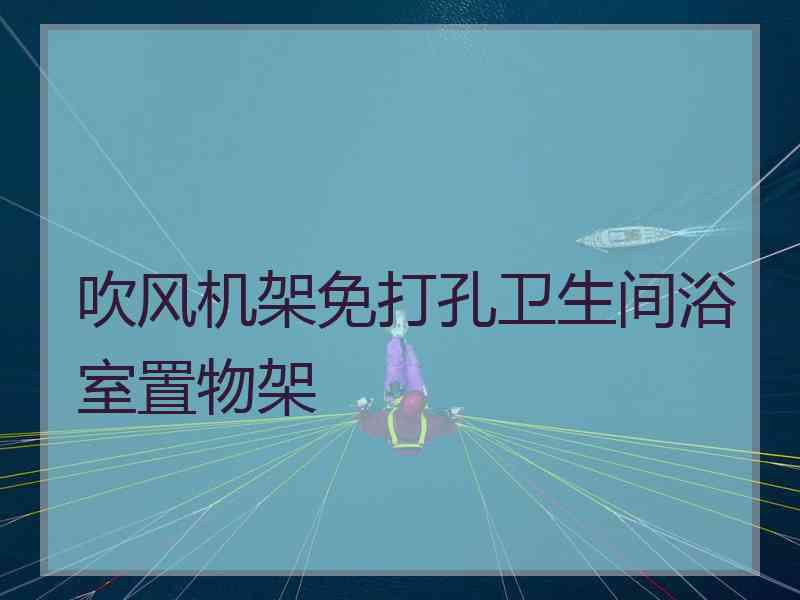 吹风机架免打孔卫生间浴室置物架