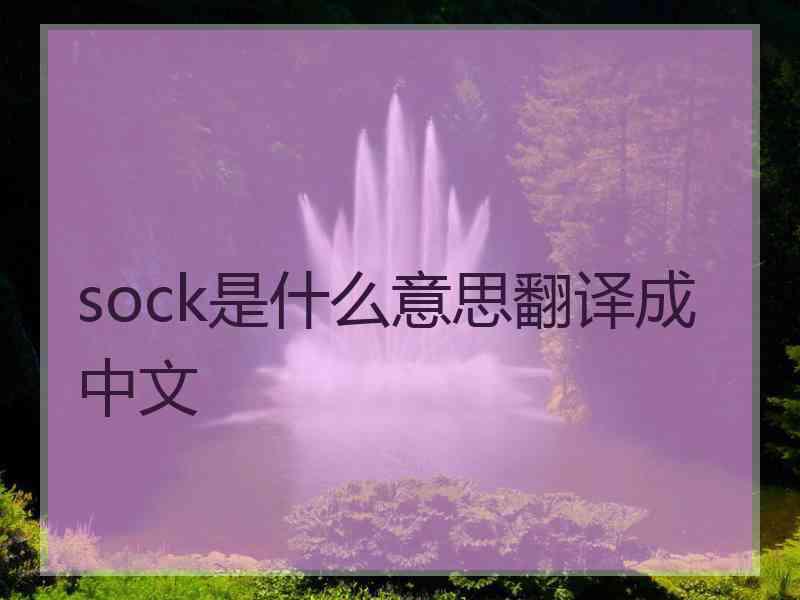 sock是什么意思翻译成中文