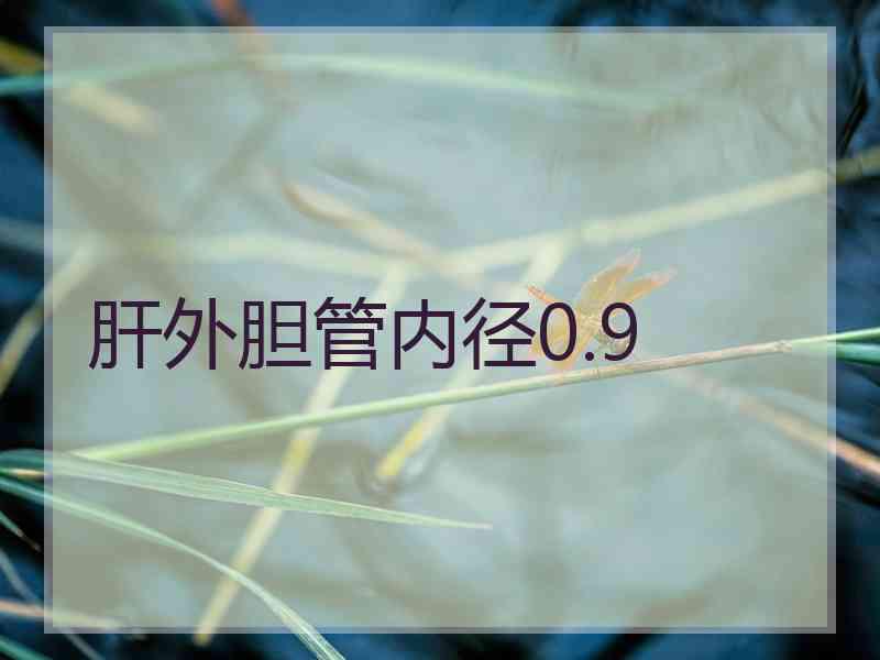 肝外胆管内径0.9