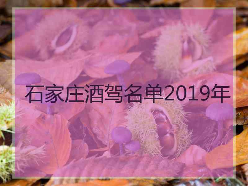 石家庄酒驾名单2019年