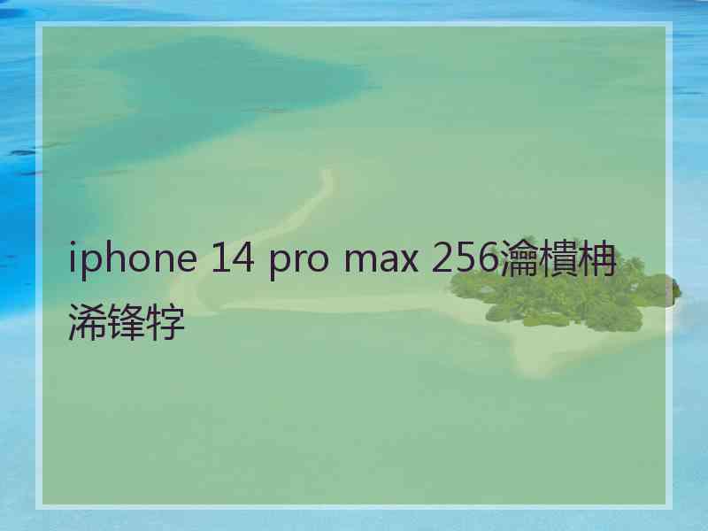 iphone 14 pro max 256瀹樻柟浠锋牸