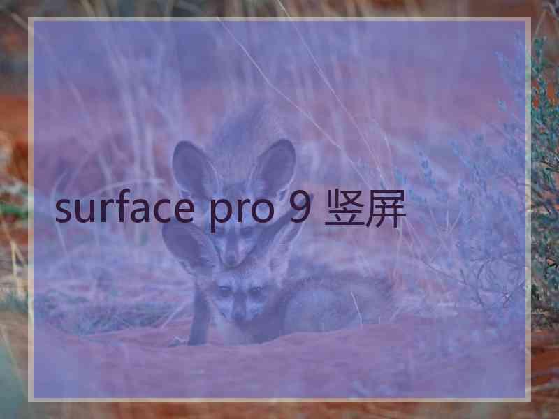 surface pro 9 竖屏