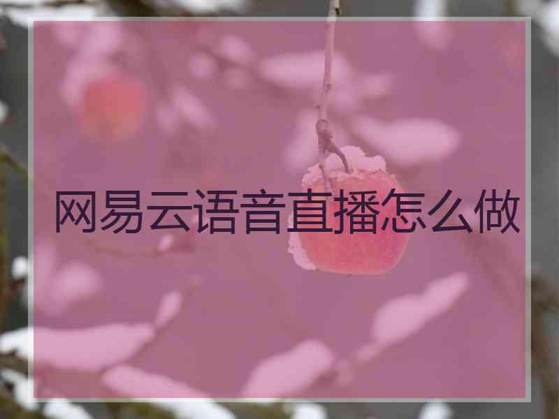 网易云语音直播怎么做