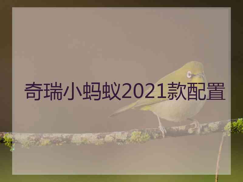 奇瑞小蚂蚁2021款配置