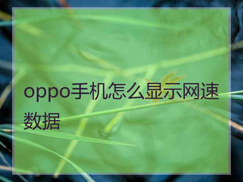 oppo手机怎么显示网速数据