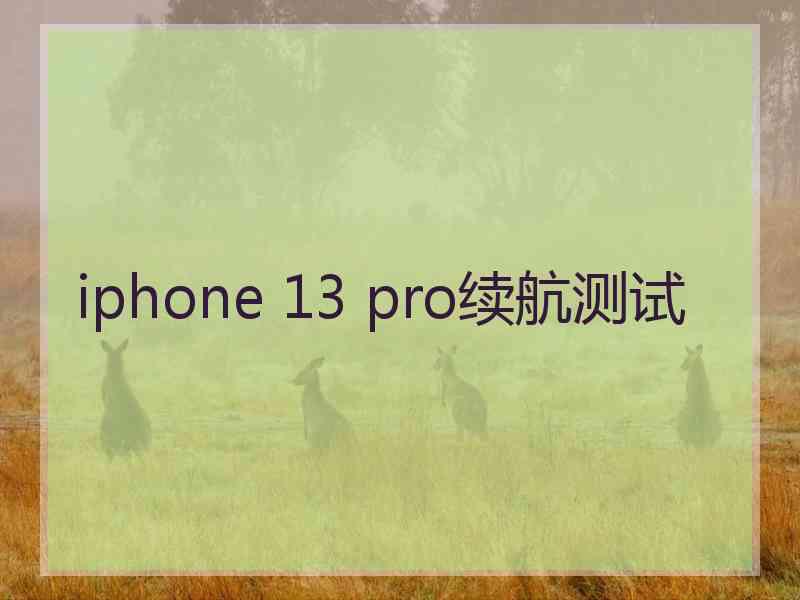 iphone 13 pro续航测试