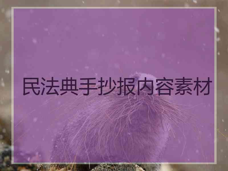 民法典手抄报内容素材